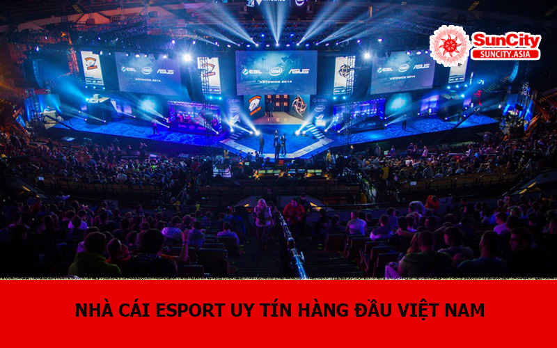 Nhà Cái Esport Hàng Đầu Việt Nam - Cá Cược Thể Thao Điện Tử Số 1 Suncity